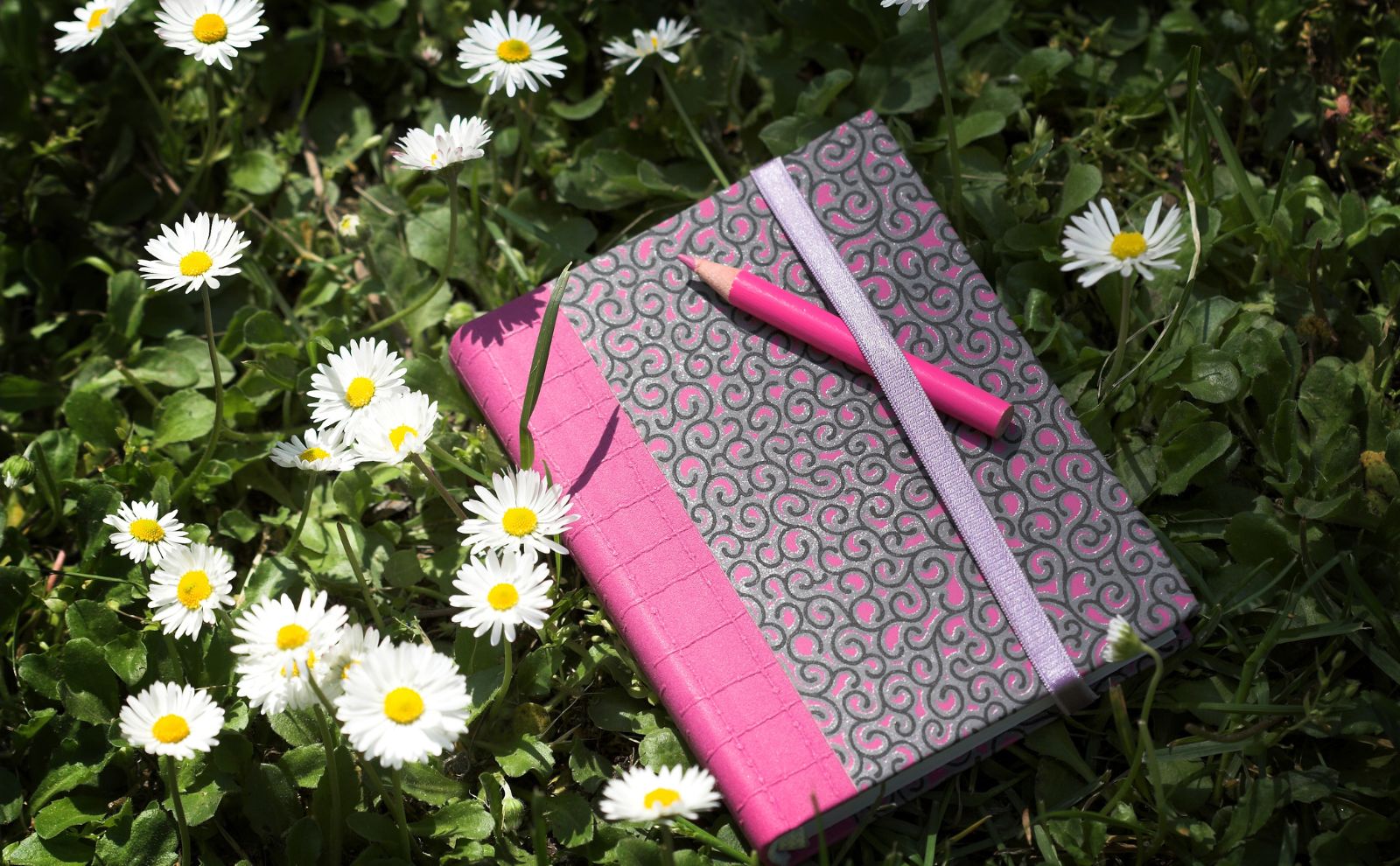 Agenda printemps 2024